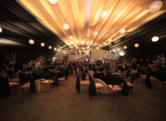 Top 5 Team-Building Activities You Can Organize at JSR Continental: Luxury Hotel for Corporate Events Dehradun